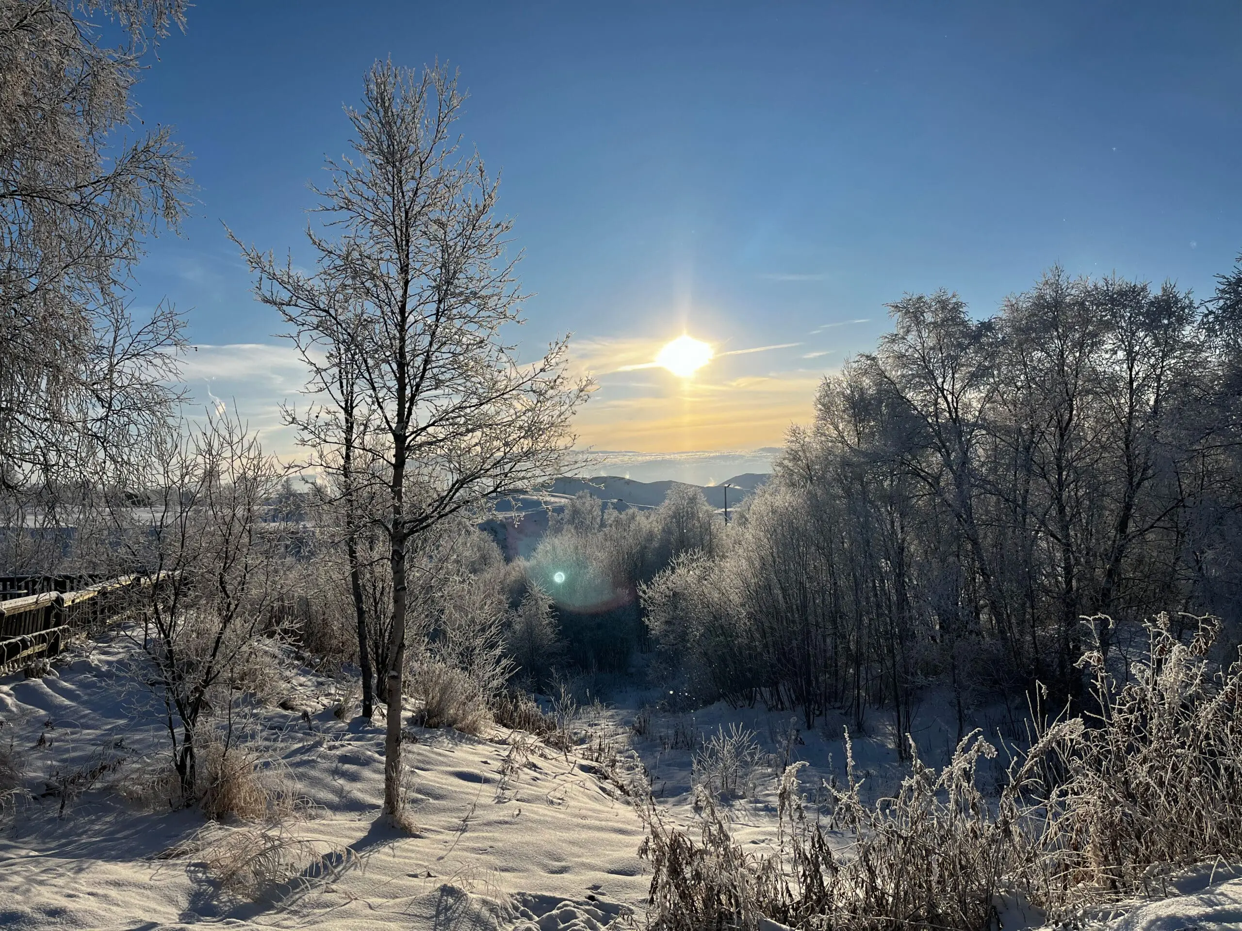 Parti fra Mælan på Røros. Foto: Lars Geithe, 2023